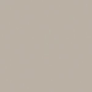 Panou Panou compact Gri 12 mm